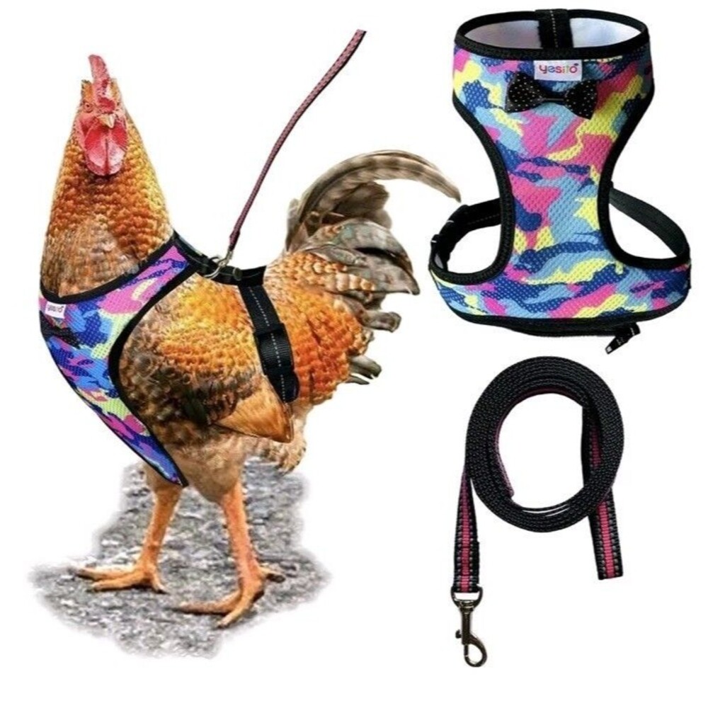 Adjustable Chicken Harness W/Diaper 54in Leash Camo Breathable Washable Medium